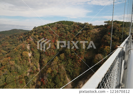 Kuju Yumae Suspension Bridge 121670812
