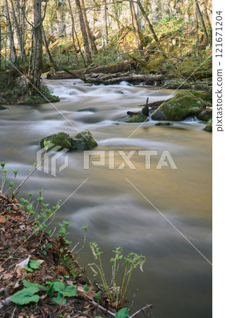 Natural scenery with a calm flowing river and mossy rocks Natural scenery with a calm flowing river and mossy rocks 121671204