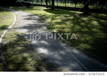夏季街道樹木,陽光透過樹木,公園道路 夏季街道樹木,陽光透過樹木,公園道路 121672223
