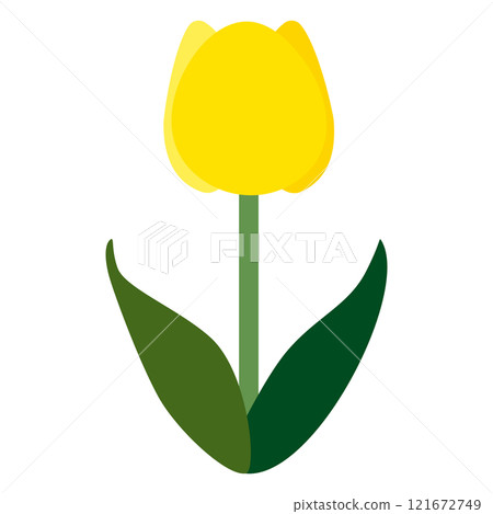 單一黃色鬱金香的簡單平面插圖，白色背景 121672749