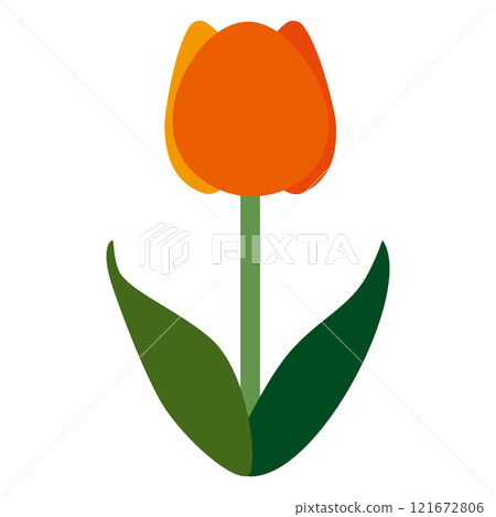 單一橙色鬱金香的簡單平面插圖，白色背景 121672806