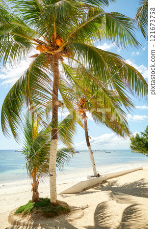 Alona Beach with coconut palm trees on Bohol Panglao Island, Philippines. 121673758