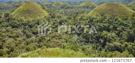 Chocolate Hills, a famous tourist attraction of Bohol Island, Philippines. 121673767