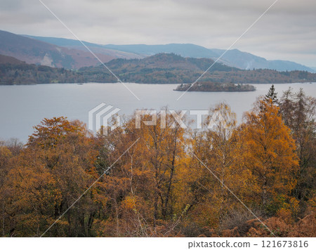 Orange and gold Autumn colours in trees overlooking Derwent Water, Lake District Orange and gold Autumn colours in trees overlooking Derwent Water, Lake District 121673816