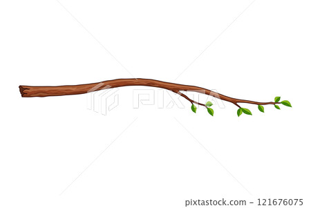 Tree branch. Leafy plants twig, fresh greenery. Deciduous bush sprout on white background. Vector isolated botanical decoration element 121676075