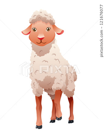 Small cartoon sheep. Lamb flat vector illustration. Funny baby sheep with curly wool. Farm animal art isolated on white background 121676077