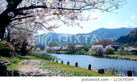 Cherry blossoms frame a tranquil riverbank under clear blue skies, with distant mountains providing a stunning natural backdrop on a beautiful day Cherry blossoms frame a tranquil riverbank under clear blue skies, with distant mountains providing a stunning natural backdrop on a beautiful day 121676504
