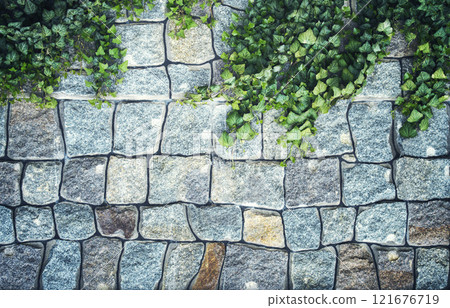 Garden plants on the wall. Stone texture. Old stonework. Garden wall. The streets of the old city are paved with stones. 121676719