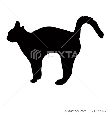 a cat body silhouette vector 121677367