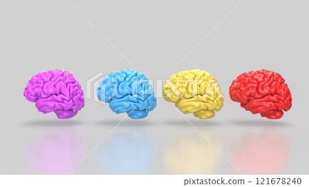 The Brain multi color on white background  for education or sci concept 3d rendering. 121678240