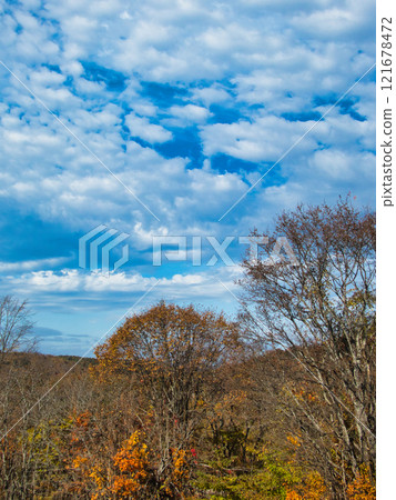 難忘的風景 121678472