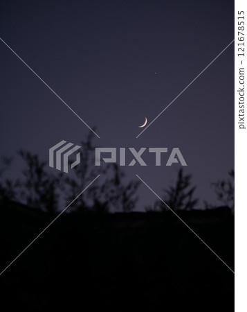 The moon in the twilight sky. Tree branches sway in the foreground. Pula, Croatia - January 3, 2025 The moon in the twilight sky. Tree branches sway in the foreground. Pula, Croatia - January 3, 2025 121678515