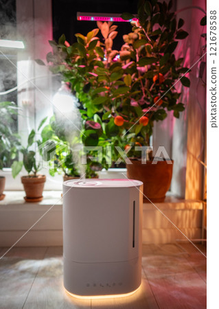 Air humidifier on the floor at home, steam illuminated by grow light, potted plants on windowsill 121678588