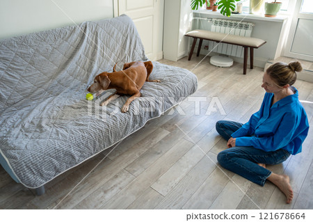 Woman laughs sitting on floor, engaging dog in tennis ball play on couch at home. Pet game, bonding Woman laughs sitting on floor, engaging dog in tennis ball play on couch at home. Pet game, bonding 121678664