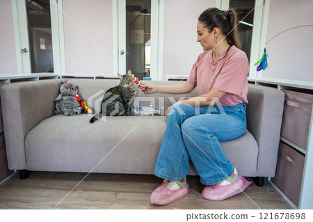 Cat look at camera, play on sofa with fish toys. Woman playing with pet in cat hotel, cat relaxation Cat look at camera, play on sofa with fish toys. Woman playing with pet in cat hotel, cat relaxation 121678698
