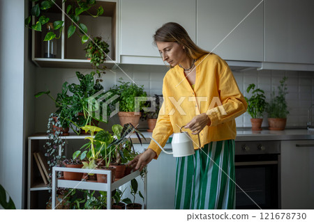 Female growing houseplants at home checking soil dryness, watering potted houseplants with water can Female growing houseplants at home checking soil dryness, watering potted houseplants with water can 121678730