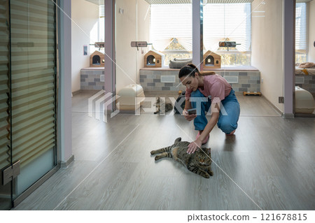 Hotel staff woman record cat on floor with smartphone. Video report to owner, pet care, wellfare Hotel staff woman record cat on floor with smartphone. Video report to owner, pet care, wellfare 121678815