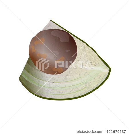 A quarter of an avocado with a pit. Vector graphics for illustration 121679587