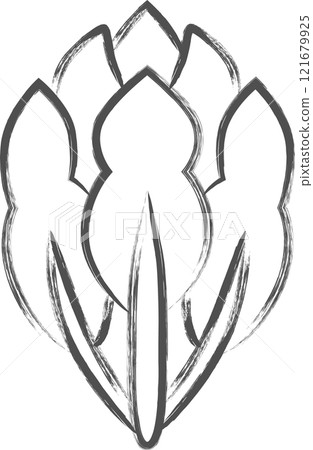 Vegetable brush drawing illustration: Spinach Vegetable brush drawing illustration: Spinach 121679925