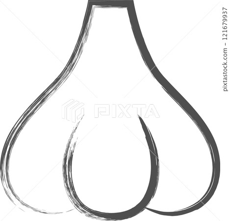 Vegetable brush drawing illustration: Garlic 121679937