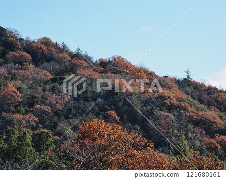 Satoyama的秋葉 121680161