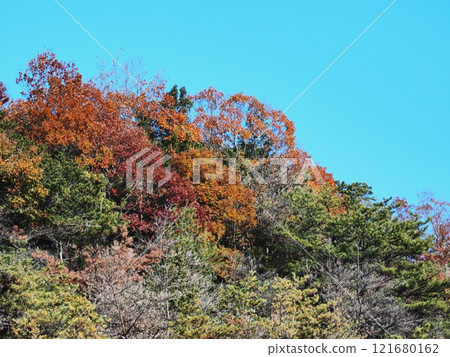 Satoyama的秋葉 Satoyama的秋葉 121680162