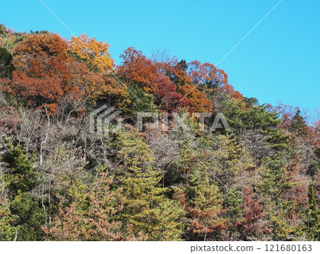 Satoyama的秋葉 121680163