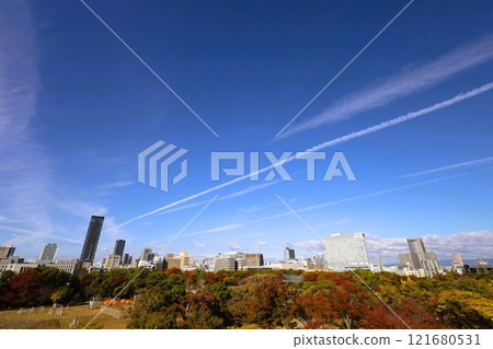 Fine Tower Otemae、Tower Man、大阪塔公寓、秋葉、大阪城公園、大阪城散步、秋天的大阪城 121680531