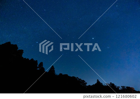 A silent forest watching over the stars 121680602