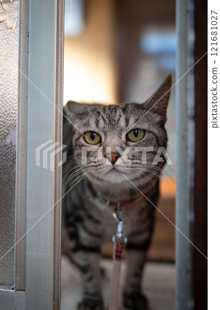 Let's go outside Let's go outside 121681027
