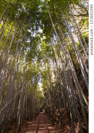 Former JNR Kurayoshi Line Taikyuji Station Site 121681090