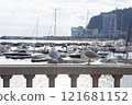 Atami Port in the morning: Fishing boats and seagulls 121681152