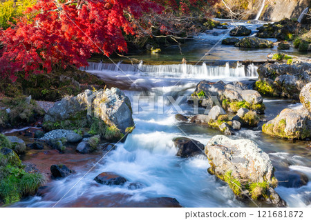 靜岡縣富士宮市上出市白絲瀑布附近的芝川流和秋葉楓樹 121681872