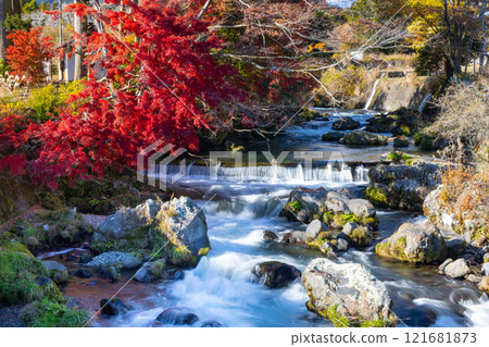 靜岡縣富士宮市上出市白絲瀑布附近的芝川流和秋葉楓樹 121681873