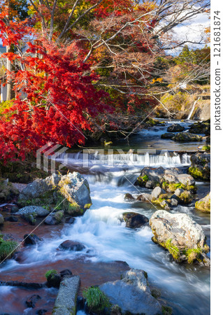 靜岡縣富士宮市上出市白絲瀑布附近的芝川流和秋葉楓樹 靜岡縣富士宮市上出市白絲瀑布附近的芝川流和秋葉楓樹 121681874