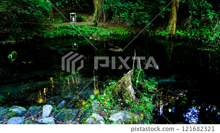 Ikeyama Spring in Aso City, Kumamoto Prefecture Ikeyama Spring in Aso City, Kumamoto Prefecture 121682321