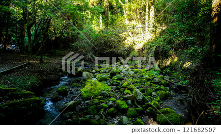 Yamabuki Spring, a famous spring in Kumamoto Prefecture 121682507