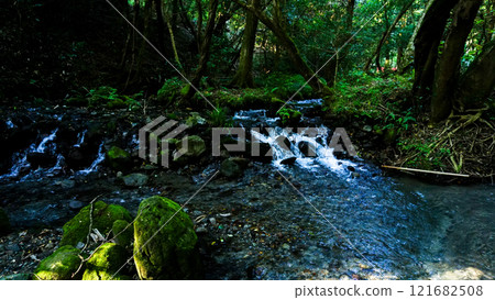 熊本縣名水山吹水源地 熊本縣名水山吹水源地 121682508