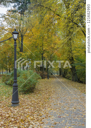 Walkway in the park in the summer Walkway in the park in the summer 121682993