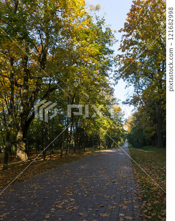 Walkway in the park in the summer Walkway in the park in the summer 121682998