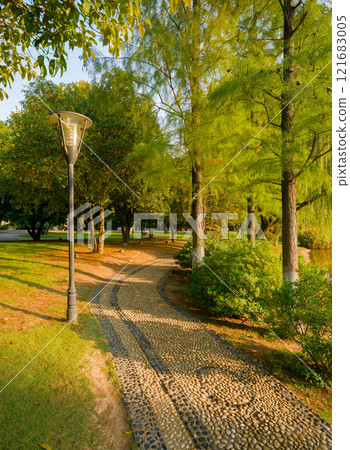 path in the park with a lantern and a bench path in the park with a lantern and a bench 121683005