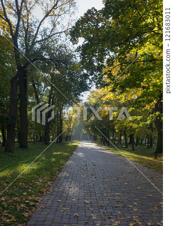 Walkway in the park in the summer 121683011