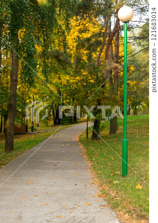 Forest footpath in autumn Forest footpath in autumn 121683014