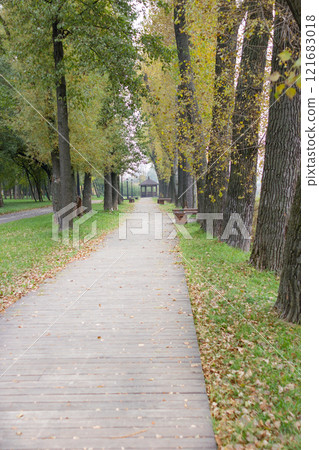 Walkway in the park in the summer Walkway in the park in the summer 121683018
