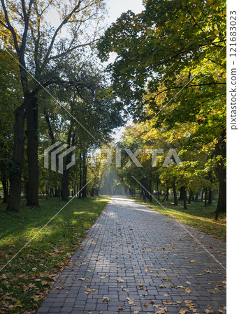 Walkway in the park in the summer Walkway in the park in the summer 121683023