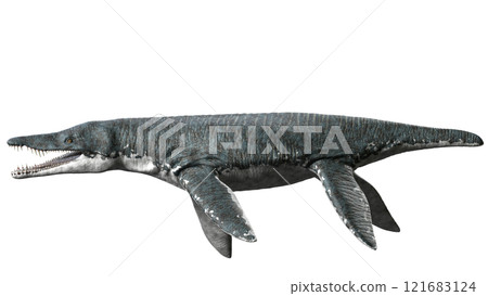 Liopleurodon Liopleurodon 121683124