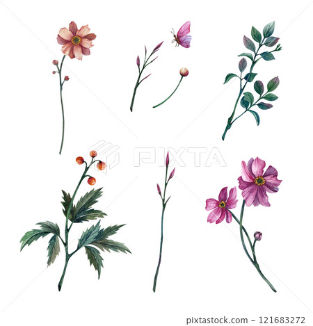 Set of pink peony buds drawing with watercolor. Hand-drawn illustration with flowers isolated on white background. For compositions for International Women's Day, cards and gifts for spring holidays 121683272