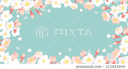 春天櫻花框架背景|平面設計（向量素材複製空間橫幅） 121683844