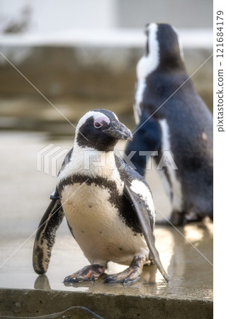 Kasumigaura Fureai Land 121684179