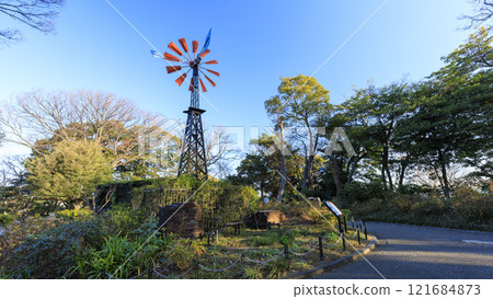 冬天的 Port View Hill 公園 冬天的 Port View Hill 公園 121684873